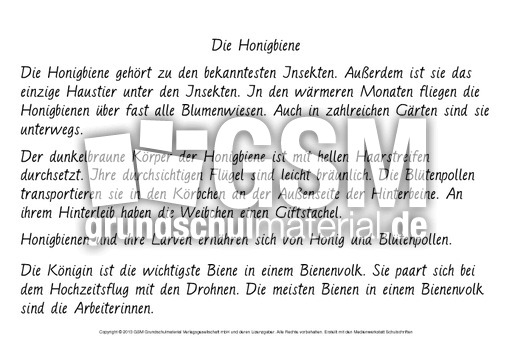 Die-Honigbiene-Abschreibtext-GS-Hand.pdf